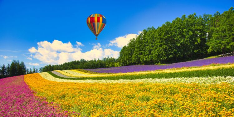 Furano Hot Air Balloon Furano Hot Air Balloon