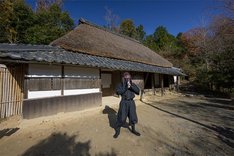 Koka Ninja Village Koka Ninja Village