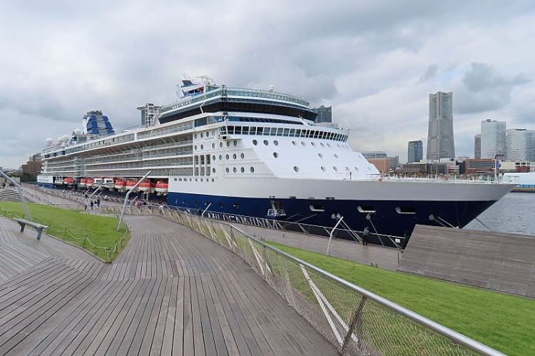 Celebrity Millennium
