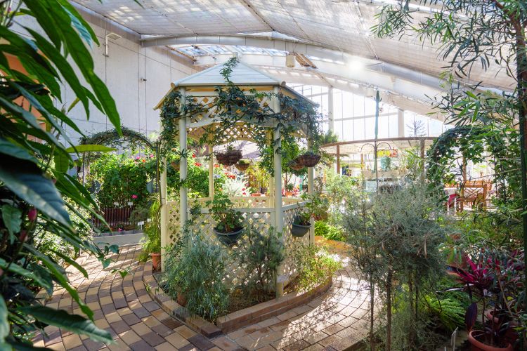 Floral Dome Furara (Japan Travel by NAVITIME) Floral Dome Furara (Japan Travel by NAVITIME)