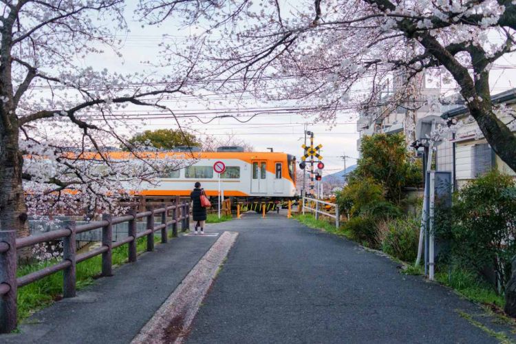 Cara Naik Kereta dan Bus Lokal di Jepang! Cara Naik Kereta dan Bus Lokal di Jepang!