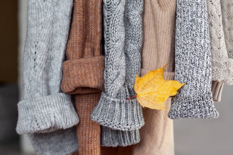 Autumn Forecast 2025 Jepang