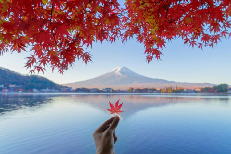 Autumn Forecast 2025 Jepang
