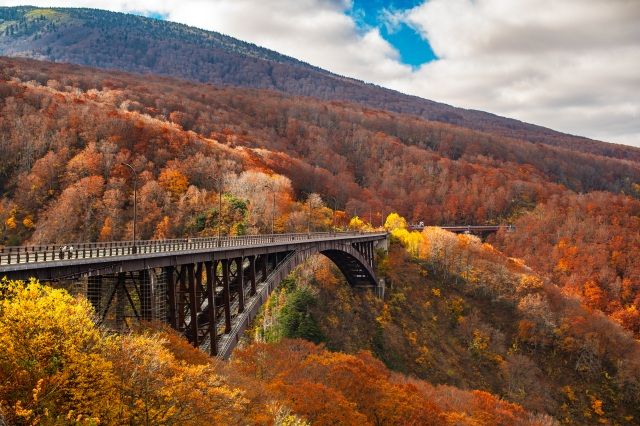 9 Tempat Terbaik Menikmati Musim Gugur di Aomori, Jepang