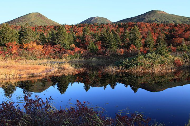 9 Tempat Terbaik Menikmati Musim Gugur di Aomori, Jepang