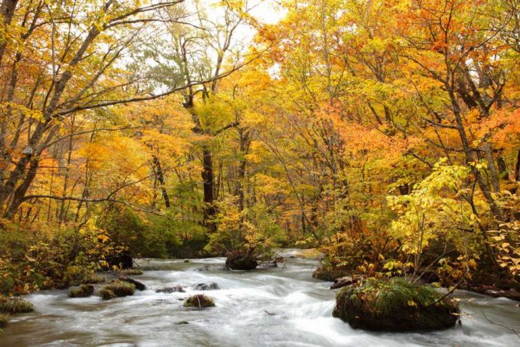 9 Tempat Terbaik Menikmati Musim Gugur di Aomori, Jepang