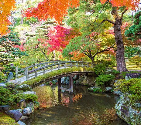 Kyoto Autumn 2025: Rekomendasi Destinasi untuk Menikmati Musim Gugur Terbaik!