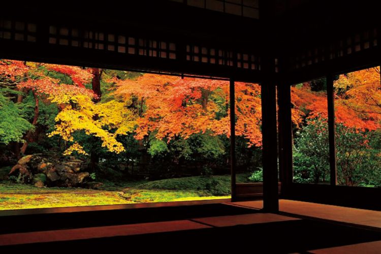 Kyoto Autumn 2025: Rekomendasi Destinasi untuk Menikmati Musim Gugur Terbaik!
