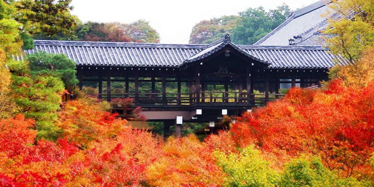 Kyoto Autumn 2025: Rekomendasi Destinasi untuk Menikmati Musim Gugur Terbaik!