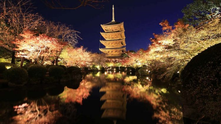 Kyoto Autumn 2025: Rekomendasi Destinasi untuk Menikmati Musim Gugur Terbaik!