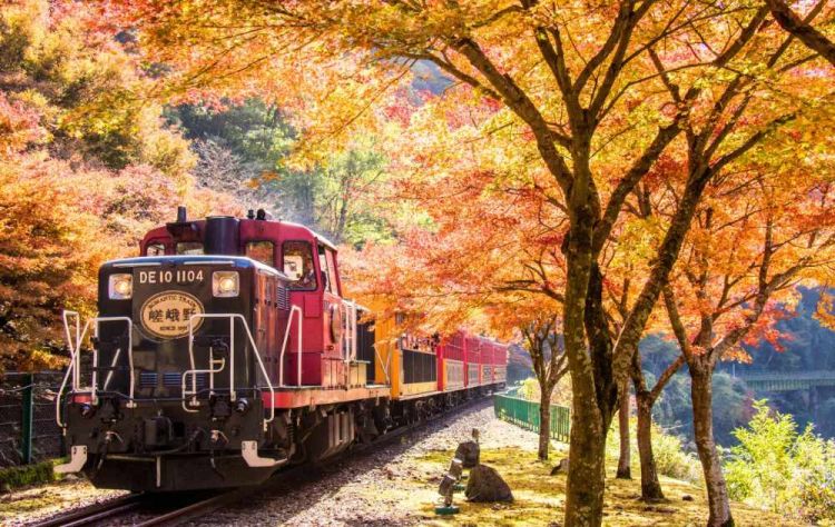 Kyoto Autumn 2025: Rekomendasi Destinasi untuk Menikmati Musim Gugur Terbaik!