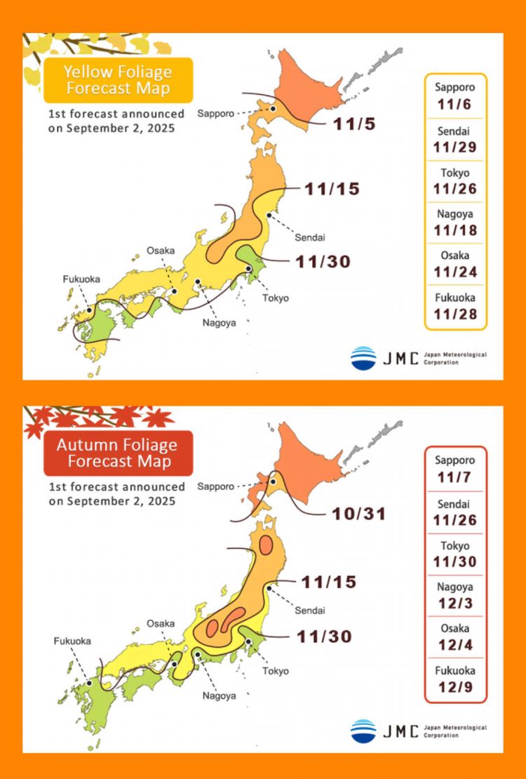 Kyoto Autumn 2025: Rekomendasi Destinasi untuk Menikmati Musim Gugur Terbaik!
