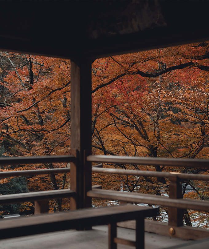 Kyoto Autumn 2025: Rekomendasi Destinasi untuk Menikmati Musim Gugur Terbaik!