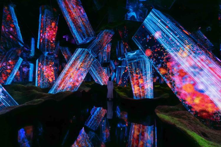 teamLab Biovortex Kyoto