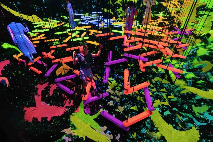 teamLab Biovortex Kyoto