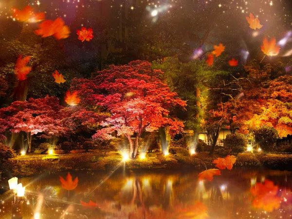 Sapporo Autumn Illuminations 2025: Pesta Cahaya di Nakajima Park! Sapporo Autumn Illuminations 2025: Pesta Cahaya di Nakajima Park!