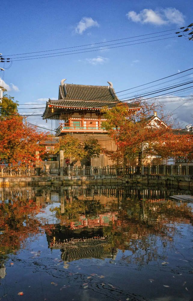 Musim Gugur di Osaka? Ini 7 Tempat yang Wajib Dikunjungi! Musim Gugur di Osaka? Ini 7 Tempat yang Wajib Dikunjungi!