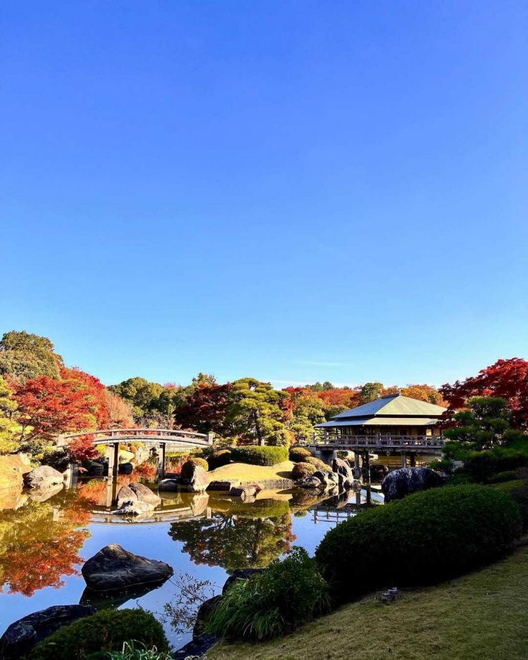 Musim Gugur di Osaka? Ini 7 Tempat yang Wajib Dikunjungi! Musim Gugur di Osaka? Ini 7 Tempat yang Wajib Dikunjungi!