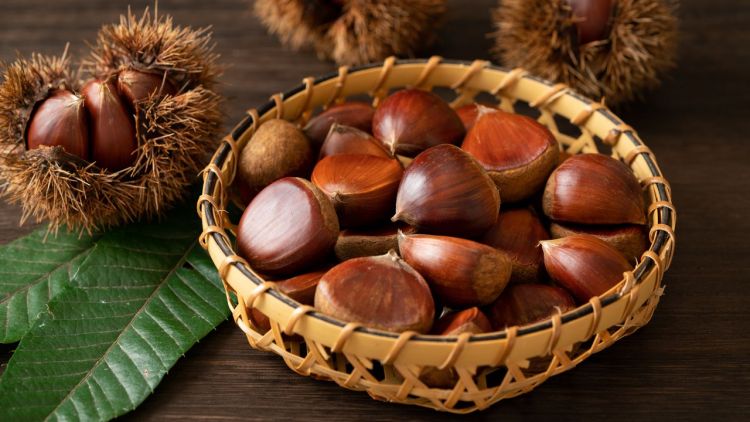 10 Makanan Wajib Coba Saat Musim Gugur di Jepang!