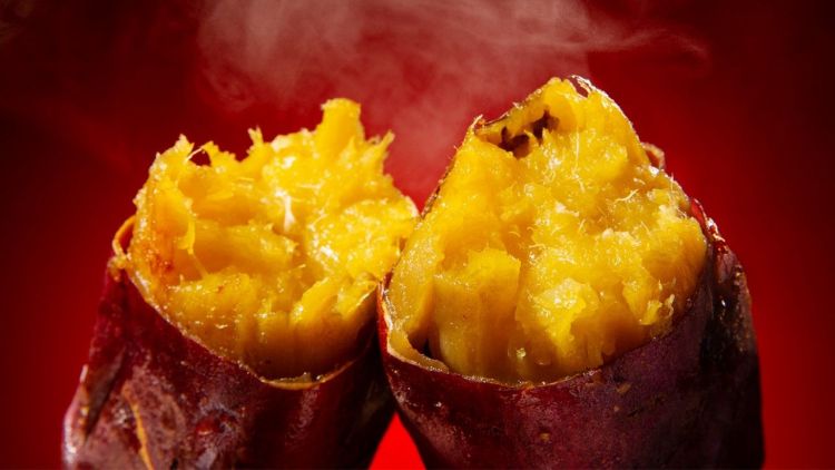 10 Makanan Wajib Coba Saat Musim Gugur di Jepang!