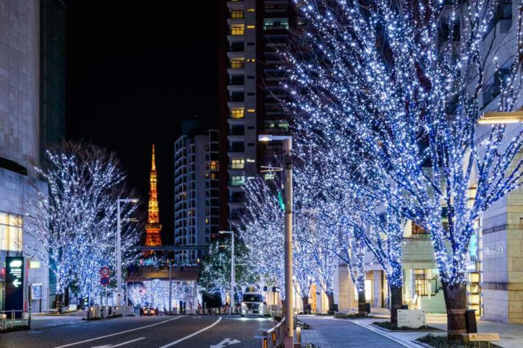 Rekomendasi Spot Tokyo Winter Illuminations 2025