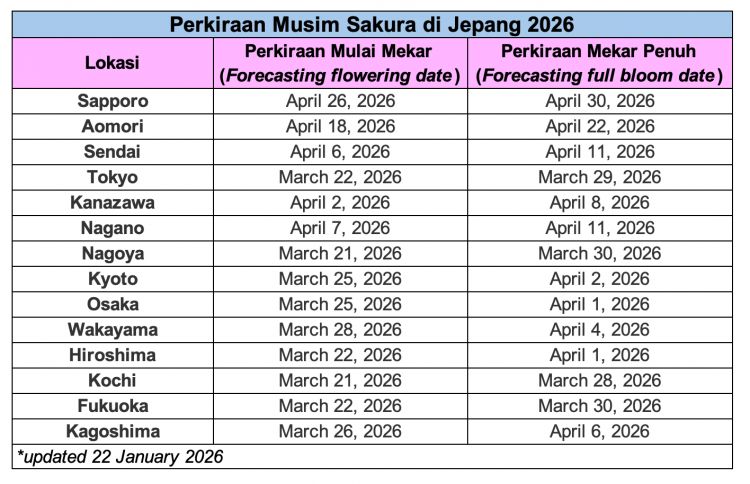 Update Prediksi Ketiga Musim Sakura 2026 di Jepang