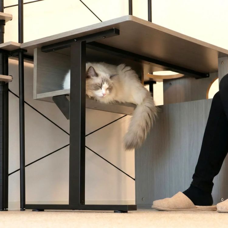 Neko House Desk - Meja Kerja Unik Khusus Pecinta Kucing