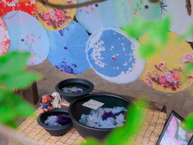 Naruto & Boruto Ninja Village Hadirkan Festival Hujan 2026