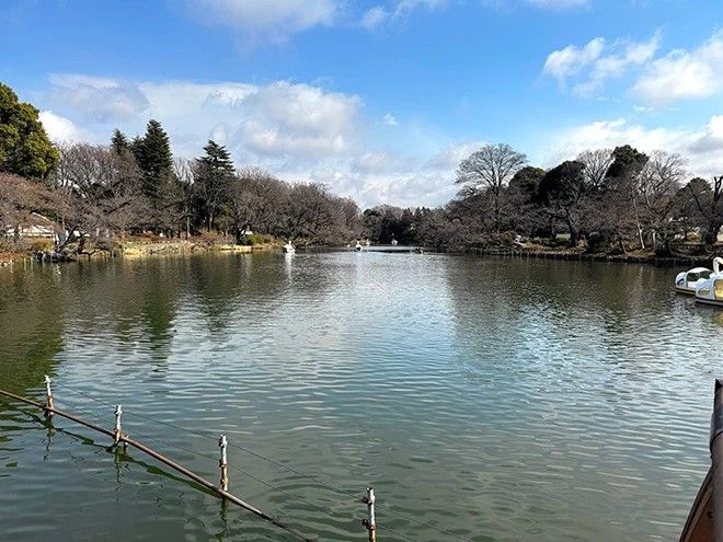 Kichijoji, Tempat Idaman di Tokyo Barat yang Punya Banyak Cerita