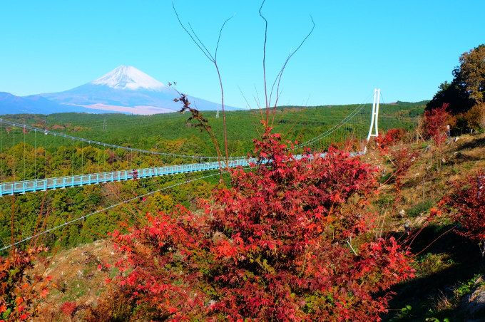 Rekomendasi Spot Menikmati Keindahan Gunung Fuji