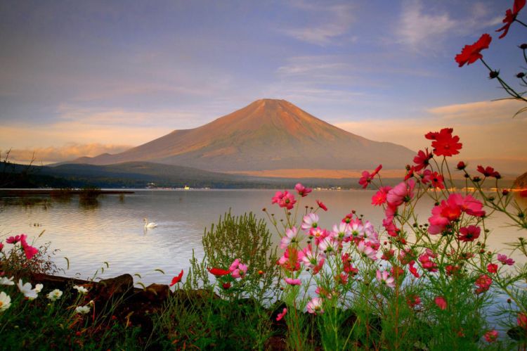 Rekomendasi Spot Menikmati Keindahan Gunung Fuji