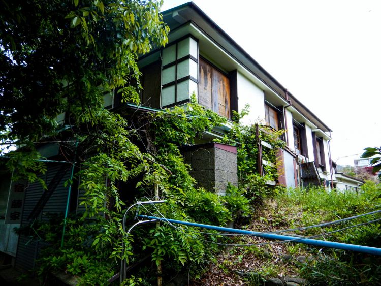 akiya